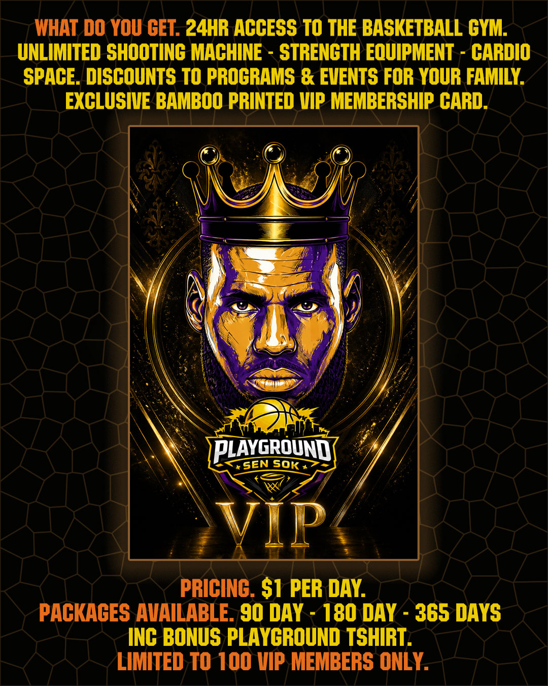 https://seajbl.com/wp-content/uploads/2026/04/vip.jpg